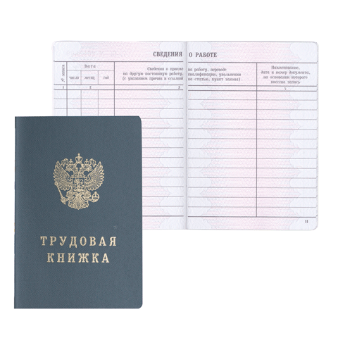 Новые Трудовые Книжки С Какого Года