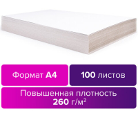 Картон бел. А4 BRAUBERG, 100л., 290г/м2, 124877