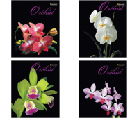 Тетрадь А5, 48 листов в клетку, скоба, серия "Орхидеи" (4 вида), BRAUBERG 401287