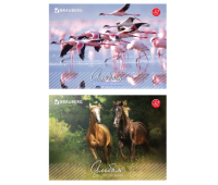 Альбом для рисования, 32 л., BRAUBERG, обложка мелованный картон, "Живая природа", 2 вида, 103683