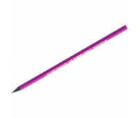 Карандаш чернографитный BIC "Evolution Miss/Purple",  HB, пластиковый, без ластика 901737, 200299