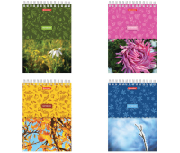 Блокнот А5 (146х205 мм), 60 л., гребень, картон, жесткая подложка, клетка, BRAUBERG, "Четыре сезона", 129811