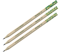 Карандаш ч/г Berlingo "Green Series" HB, шестигран., заточен., пластиковый, ассорти, BP00860, 276678