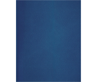 Тетрадь 48л., А5 клетка BG, бумвинил, синий, суперэконом, Т5бв48кЭ_12318, 357595