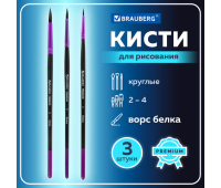 Кисти BRAUBERG PREMIUM, набор 3 шт. (беличьи круглые № 2, 3, 4), блистер, 201020