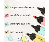 Набор текстовыделителей BRAUBERG 4 шт., АССОРТИ, "DELTA PASTEL", линия 1-5 мм, 151735