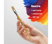 Кисть ПИФАГОР, ЩЕТИНА, плоская, № 14, деревянная лакированная ручка, пакет с подвесом, 200876