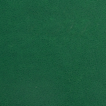 Ежедневник недатированный А5, зеленый BRAUBERG "Select" 123431