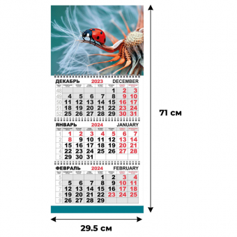 Календарь настенный 3-х блочный Трио Стандарт, 2024, 295х710, Божья коровка 1772320
