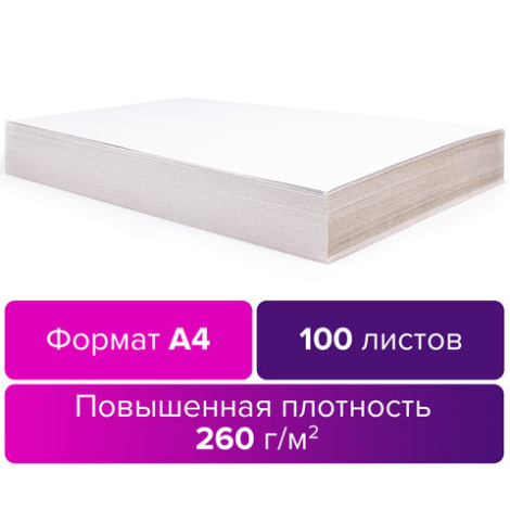 Картон бел. А4 BRAUBERG, 100л., 290г/м2, 124877