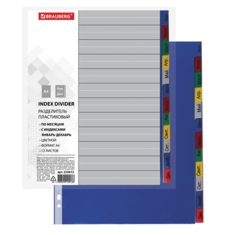 Разделитель пластиковый BRAUBERG, А4, 12 листов, Январь-Декабрь, оглавление, цветной, Россия, 225613