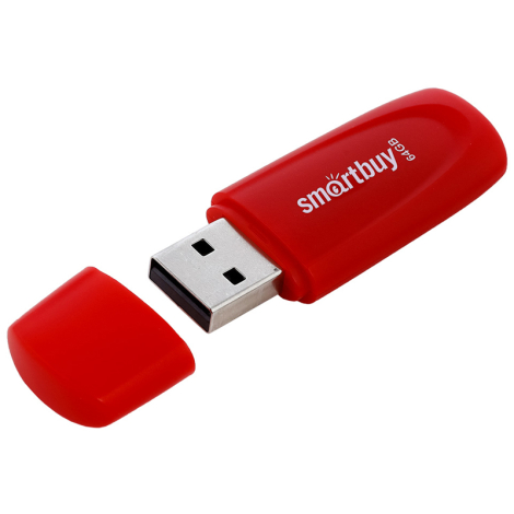 Память Smart Buy "Scout" 64GB, USB 2.0 Flash Drive, красный, SB064GB2SCR, 350462