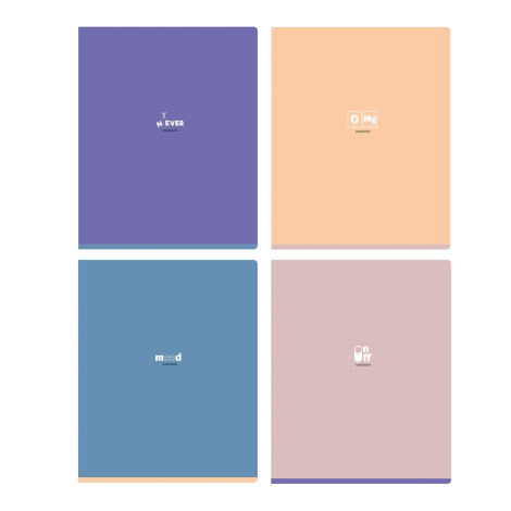 Тетрадь 48л., А5, клетка BG "Never-ever", матовая ламинация, Т5ск48_лм 12263, 357246