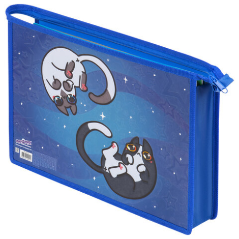 Папка для тетрадей ЮНЛАНДИЯ А4, 1 отделение, картон/пластик, конгрев, на молнии, "Ying Yang", 272132