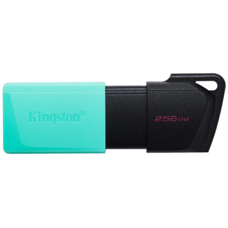 Флеш-диск 256GB KINGSTON DataTraveler Exodia M, разъем USB 3.2, черный/зеленый, DTXM/256GB, 513783